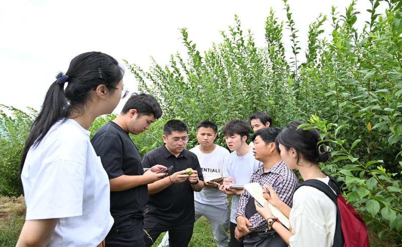 1689762195509056258.png 图片2.png