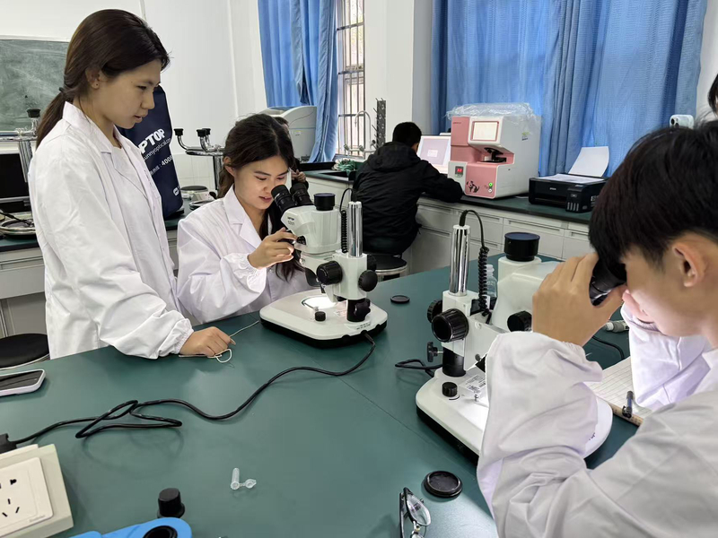 1767491094697020813.jpg 4.jpg